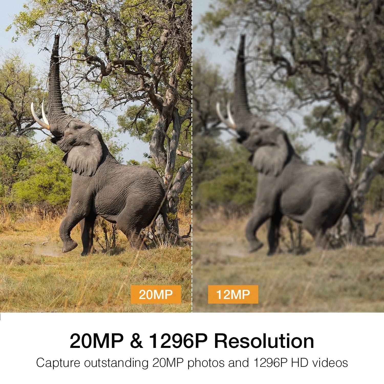 CAMPARK H80 WiFi Bluetooth Trail Camera 20MP 1296P Game Hunting Camera with Nigth Vision Fluid