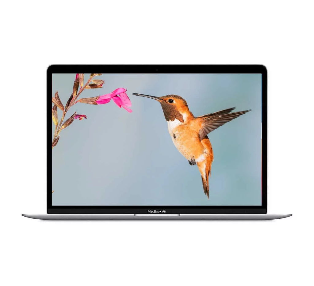 Macbook Air 13.3-inch (Retina, Silver) 1.2GHZ Quad Core i7 (2020) Mobile pc 256GB HD & 8GB RAM-Mac OS (Refurbished)