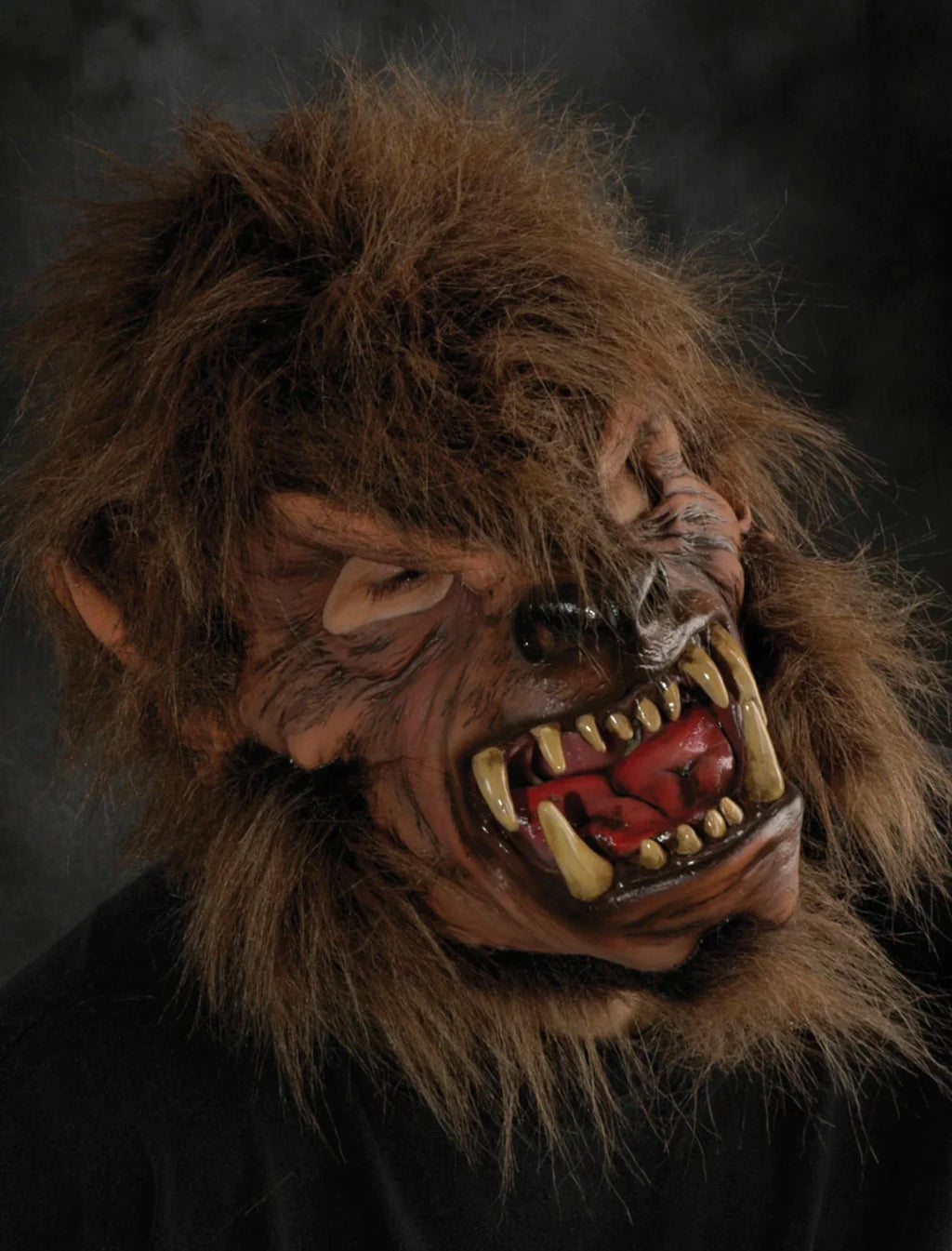 Zagone Studios M1021 Moon Shined Mask