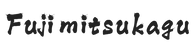 fujimitsukagu.com – Home