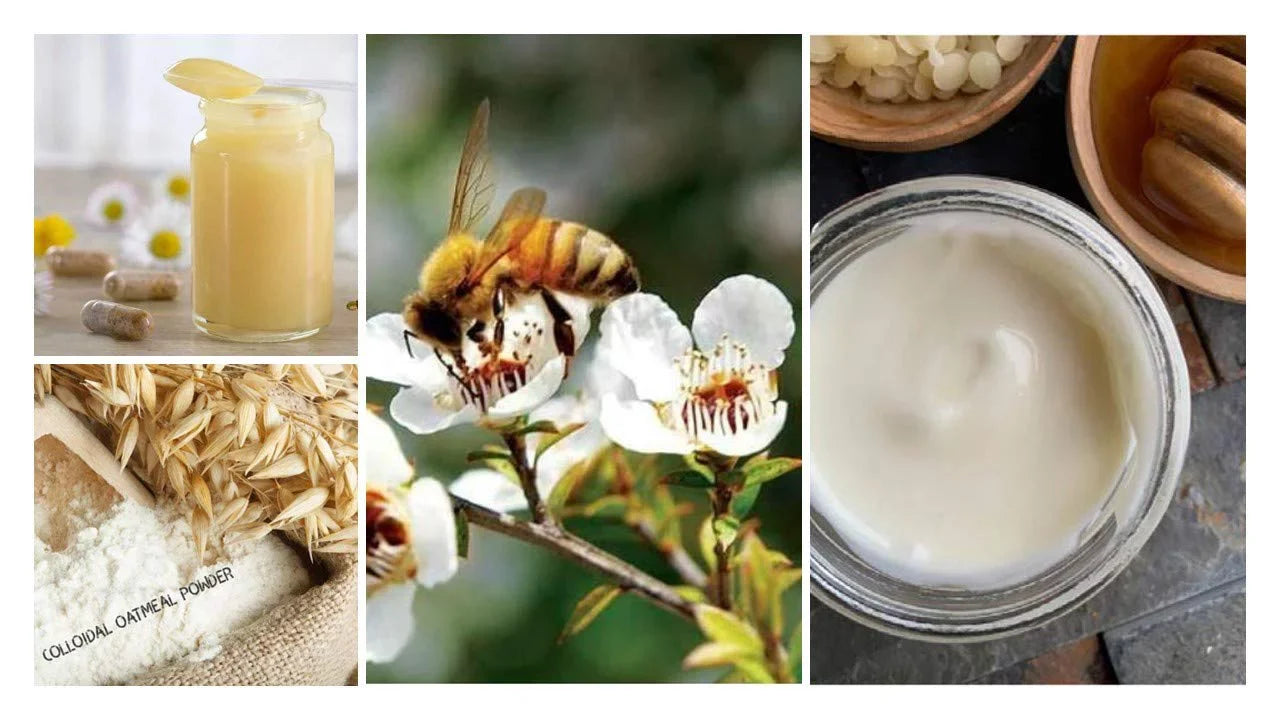 Organic Honey Oats Cream with Manuka Honey, Royal Jelly & Colloidal Oatmeal | Bee Moisturizing Cream | Face & Body Cream | All Ages, Skin Types | Anti Itch Cream | (2 oz glass jar)