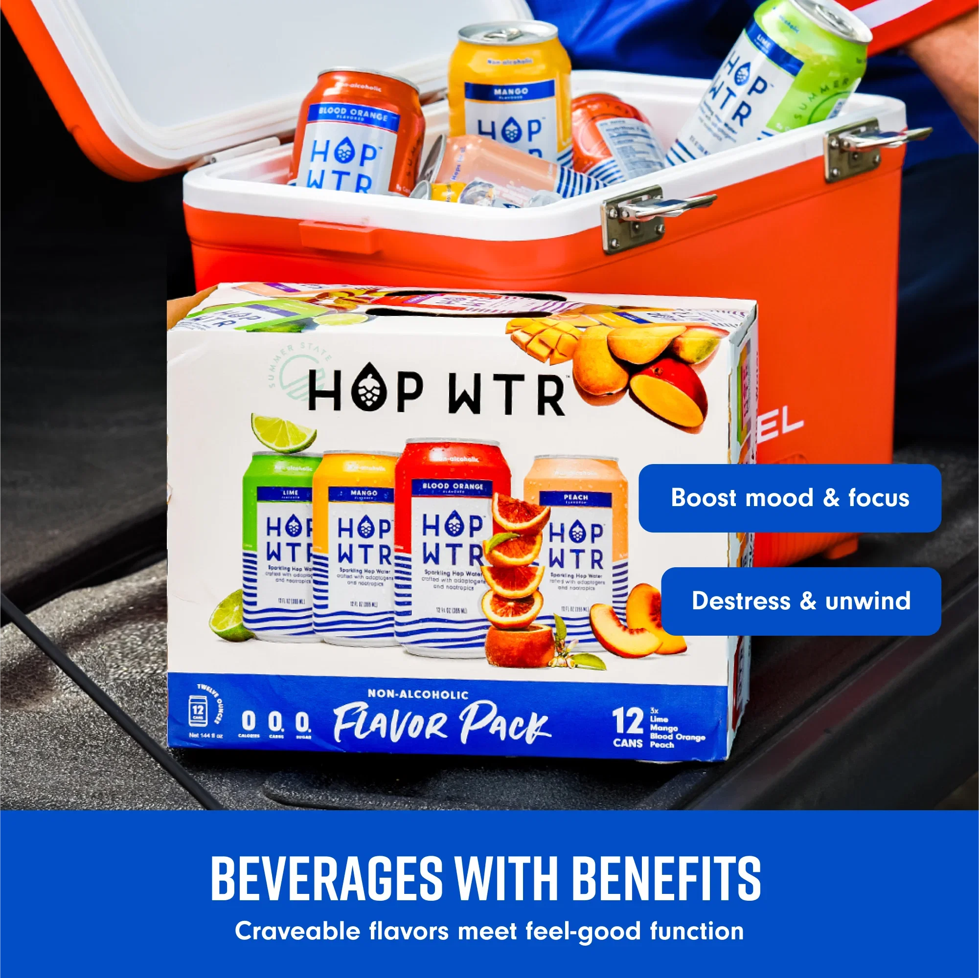 HOP WTR - Sparkling Hop Fluid - Flavor Pack (12 Pack) - NA Beer, No Calories or Sugar, Low Carb, With Adaptogens and Nootropics for Added Benefits (12 oz Cans)