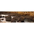 Giants Causeway Antrim Coast Northern Ireland Poster Print by - 36 x 12