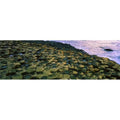 Giants Causeway Co Antrim Ireland - Area Designated A Unesco World Heritage Site with Basalt Columns Poster Print by The Irish Image Collection, 44 x 14 - Large