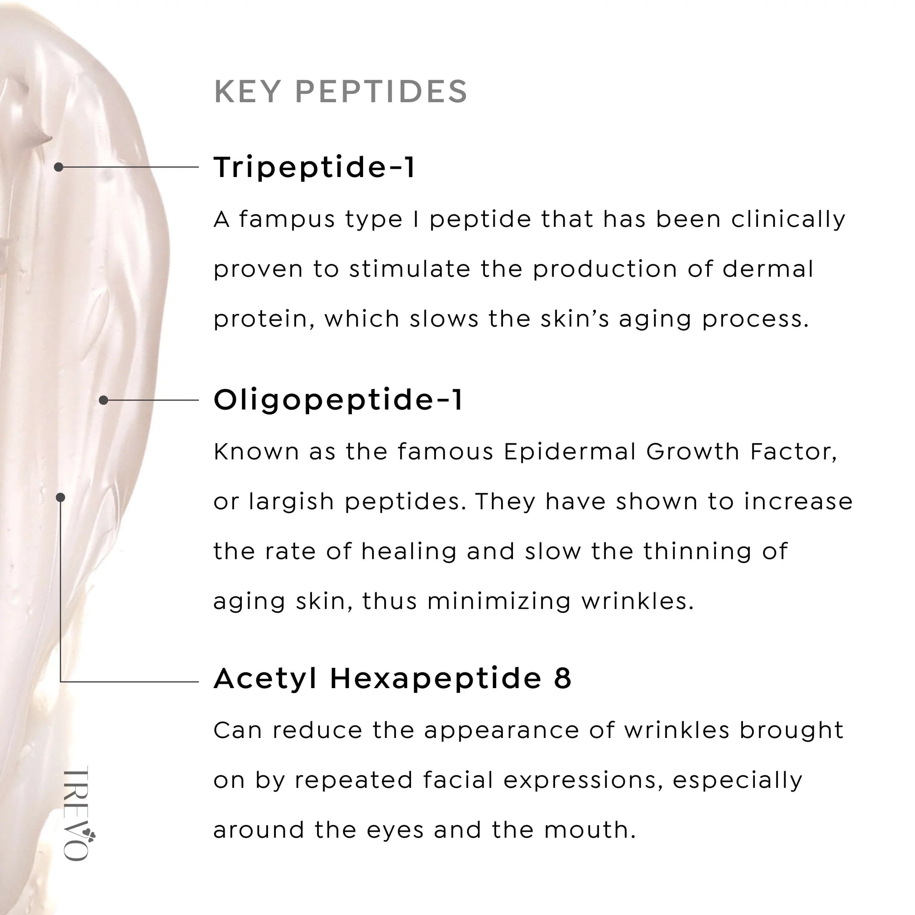 Trevo Peptide Hydrating + Firming Night Cream, Advance Anti Aging & Skin Firming Moisturizer With Natural Peptides, Retinol & Niacinamide (Vitamin B3), Reduce Fine Lines, Anti Inflammation, 50g/1.8oz