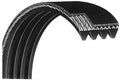 Precor d&d Bike Poly V Drive Belt 48" Works with True Fitness Elliptical XPSX z7R z8.1R z8R XLC900 TRZ70