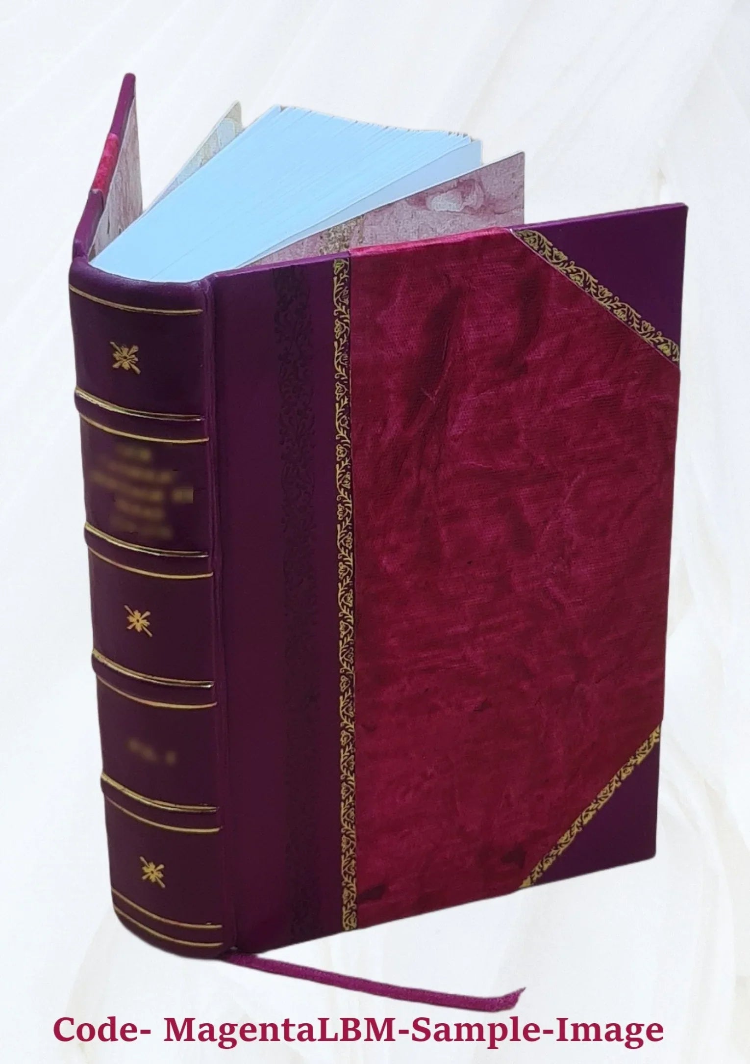 Géographie universelle de Malte-Brun. Tome 1 / entièrement refondue et mise au courant de la science, par Th. Lavallée... 1855-1857 [Leather Bound]