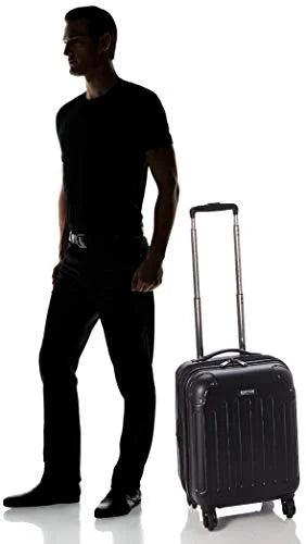 Kenneth Cole Reaction Renegade 24” Lightweight Hardside Expandable 8-Wheel Spinner Checked-Size Luggage, Black, inch