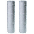 Package Of 6 RS2DS OmniFilter Whole House Replacement Fluid Filter Cartridge 2-Pack
