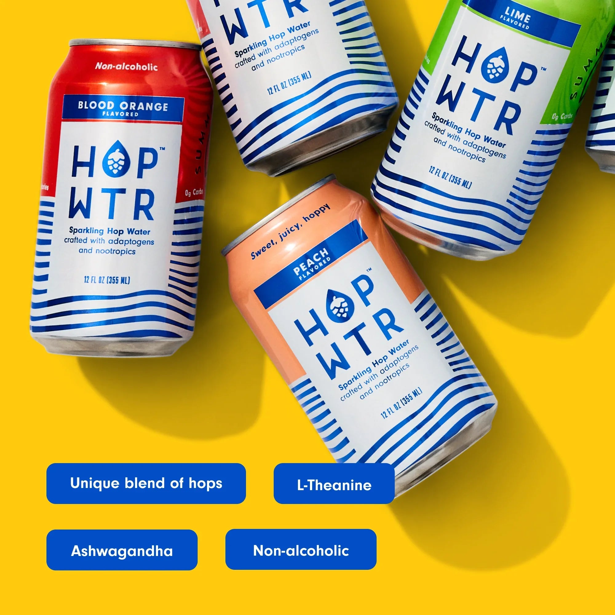 HOP WTR - Sparkling Hop Fluid - Flavor Pack (12 Pack) - NA Beer, No Calories or Sugar, Low Carb, With Adaptogens and Nootropics for Added Benefits (12 oz Cans)