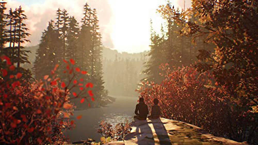 Life is Strange 2 (Xbox One)