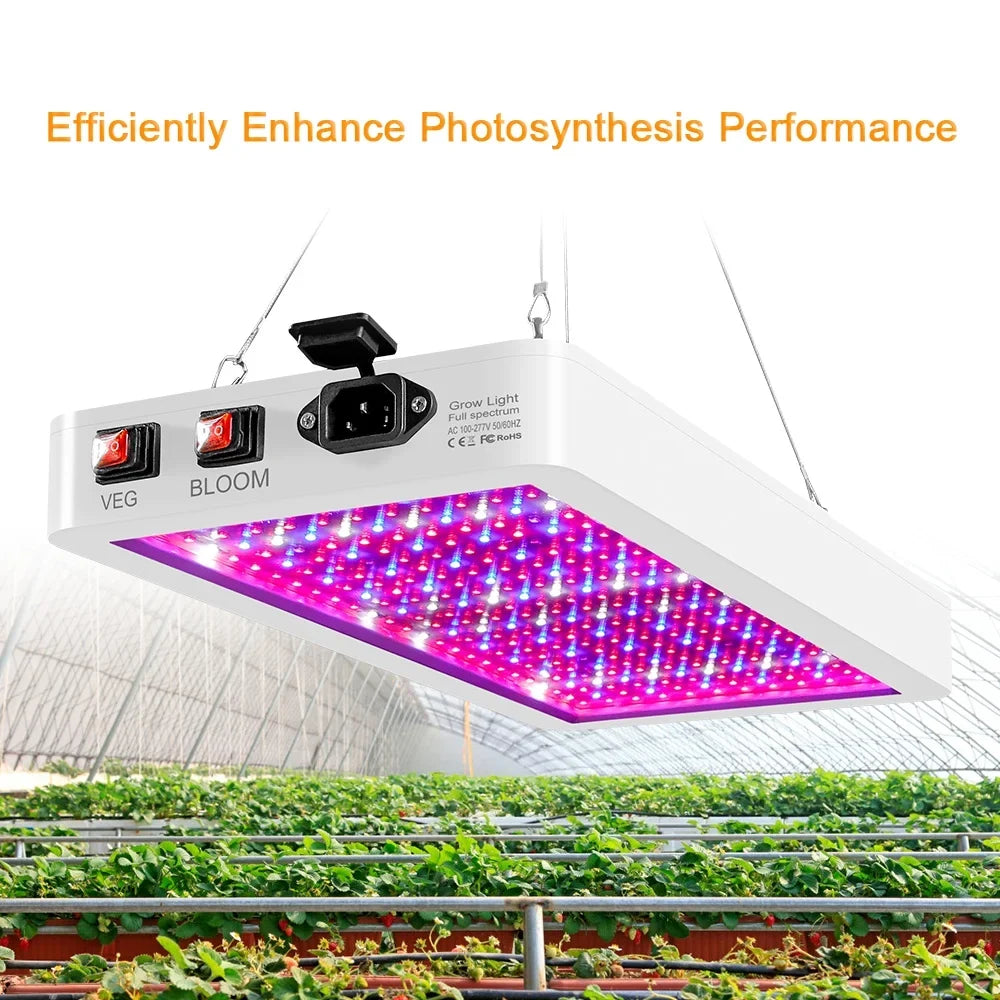 2000W Full Spectrum LED Grow Light with 312 LEDs - Indoor Plant Growing Lamp with Veg/Bloom Switch, IP65 Liquid Ideal for Seedlings, Flowers, Greenhouse