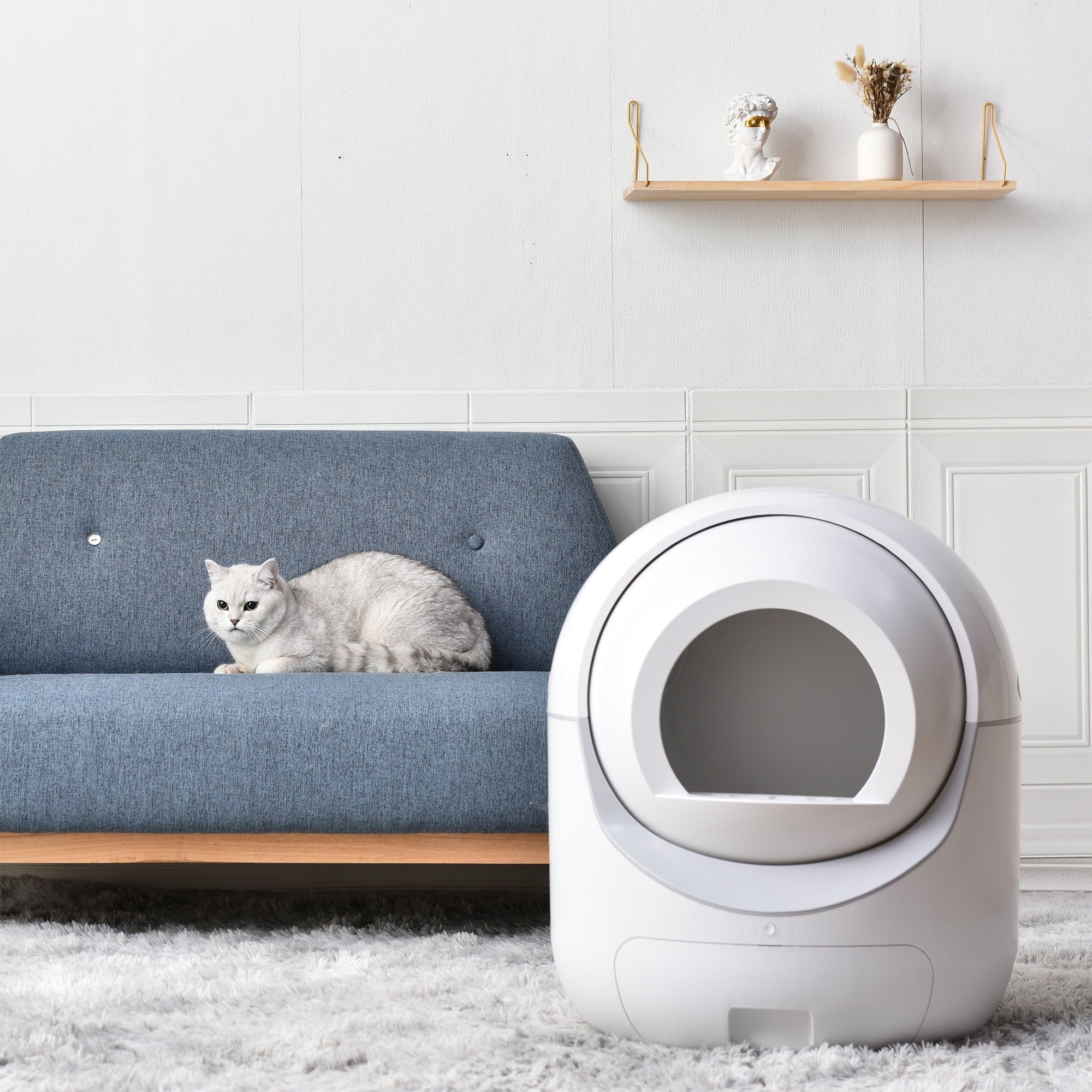 Smart Automatic Cat Litter Box, Self Cleaning Litter Box, App Control, Litter Robot Support 5G & 2.4G WiFi for Multiple Cats