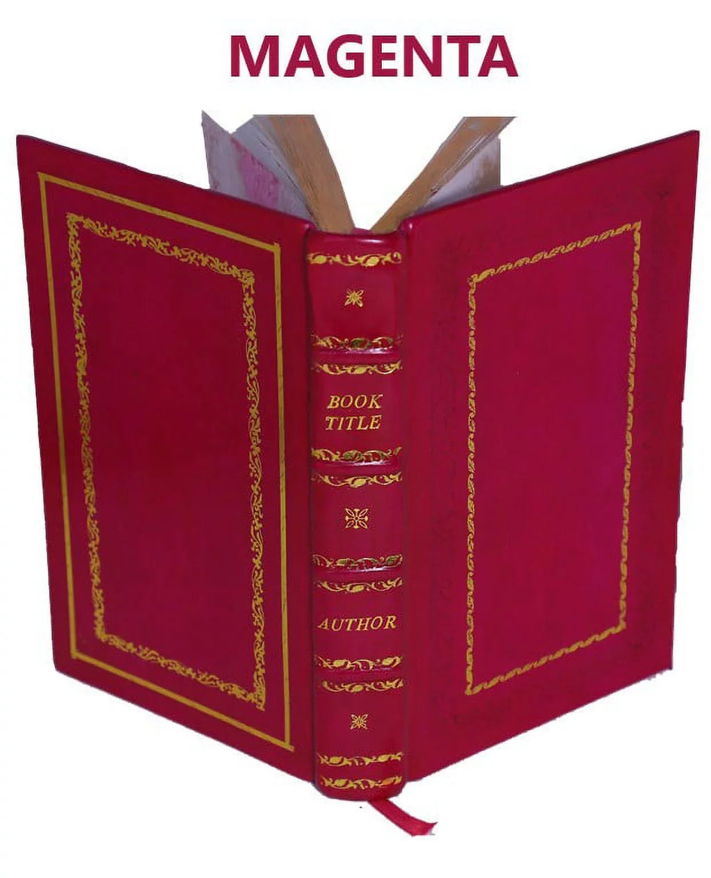 Jacques Cartier and his four voyages to Canada; an essay with historical, explanatory and philological notes 1890 [Premium Leather Bound]