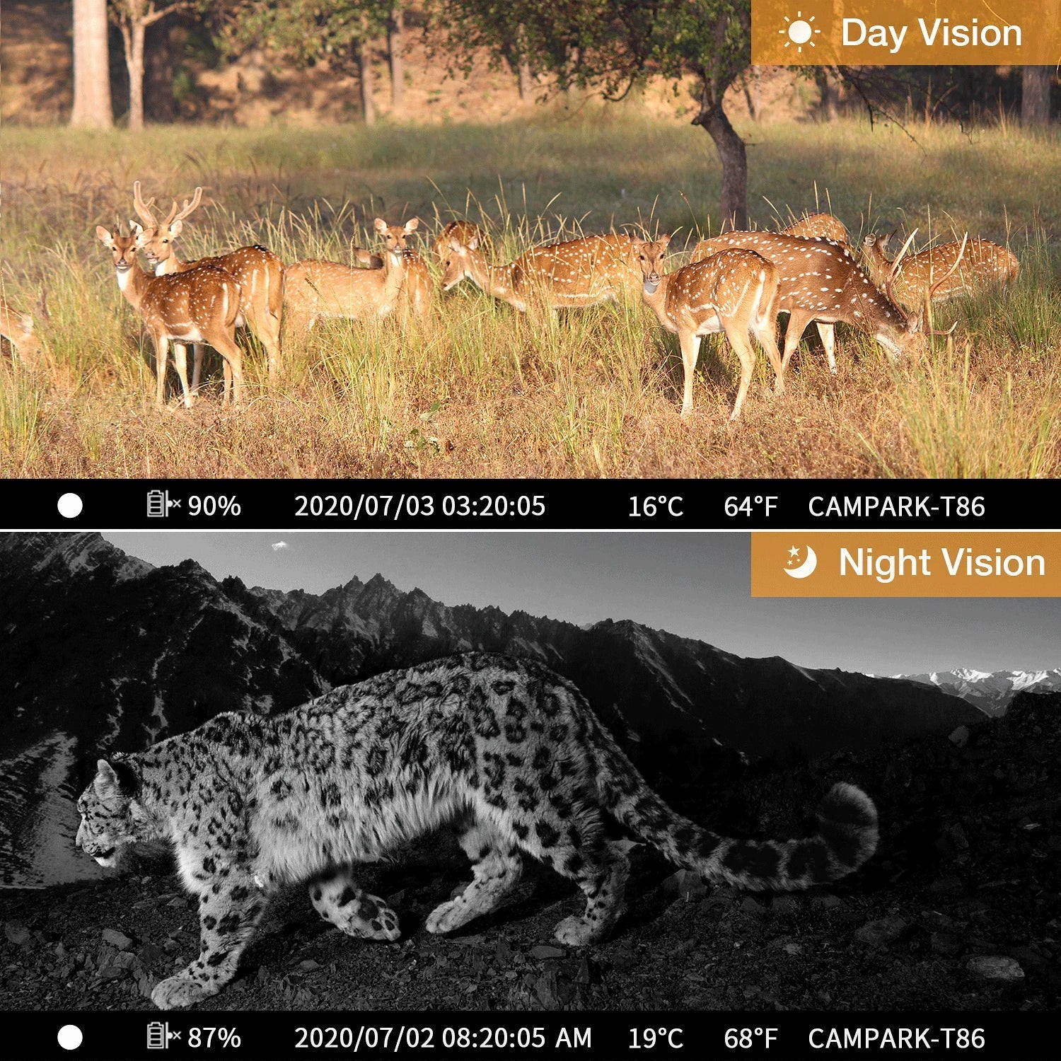 CAMPARK H80 WiFi Bluetooth Trail Camera 20MP 1296P Game Hunting Camera with Nigth Vision Fluid