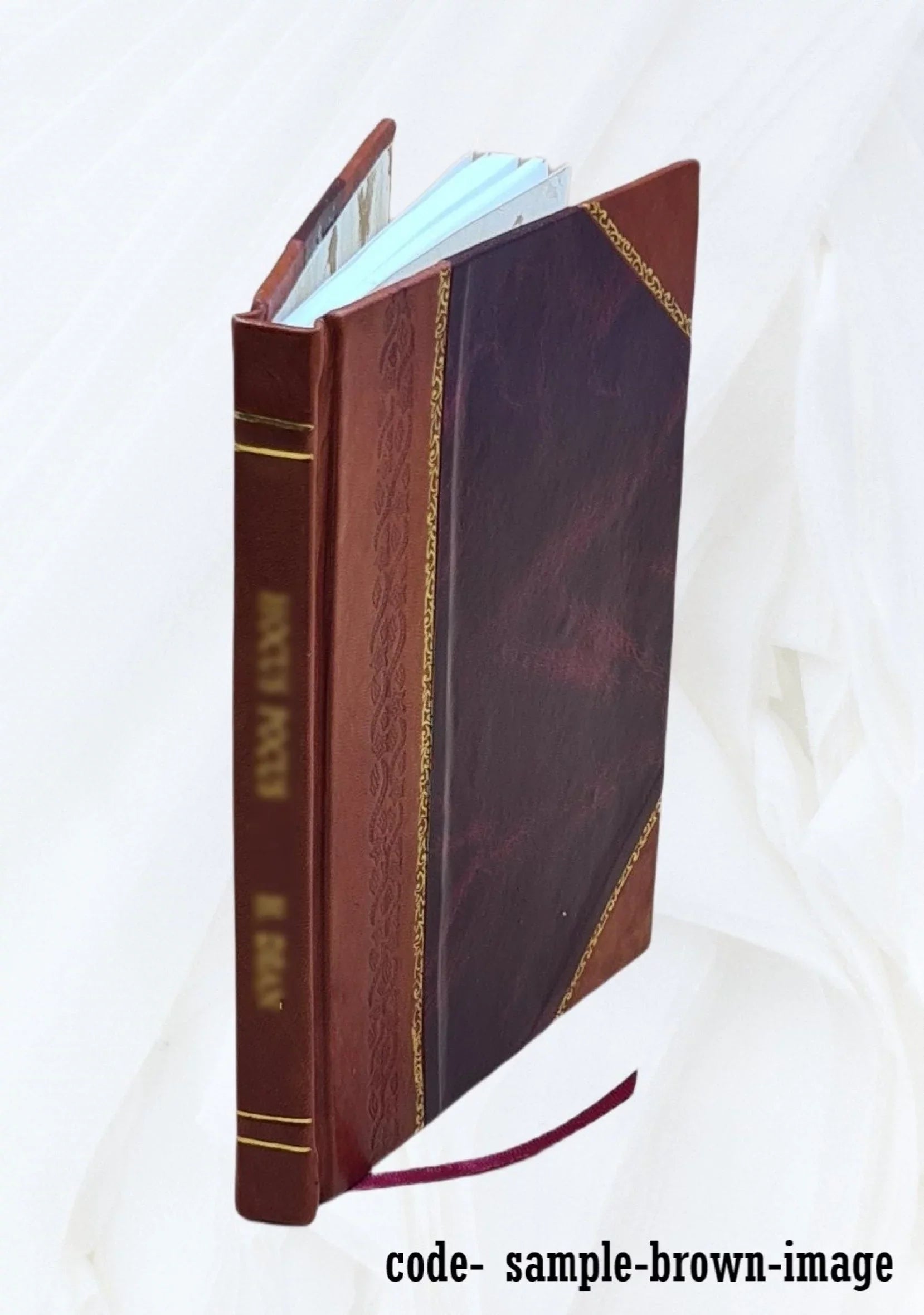 Hanford controlled potential coulometer / by R. E. Connally and F. A. Scott. 1960 [Leather Bound]