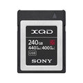 Professional XQD G Series 240GB Memory Card (QD-G240F)