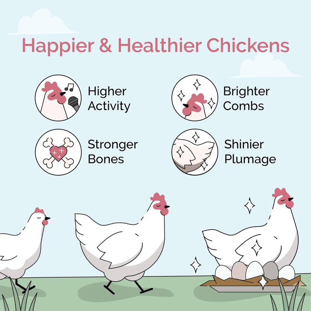 Mile Four | Grower Organic Chicken Feed | 100% US Grown Grains, Certified Organic, Certified Non-GMO, Corn-Free, Soy-Free, Non-Medicated Chicken Food | 18% Protein | Whole Grain | 46 lbs.