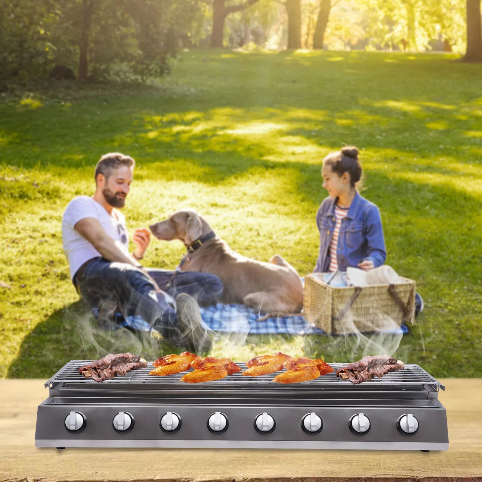 YIYIBYUS BBQ Grill Gas Barbecue Grill for Home Patio Garden Party Picnic, Stainless Steel