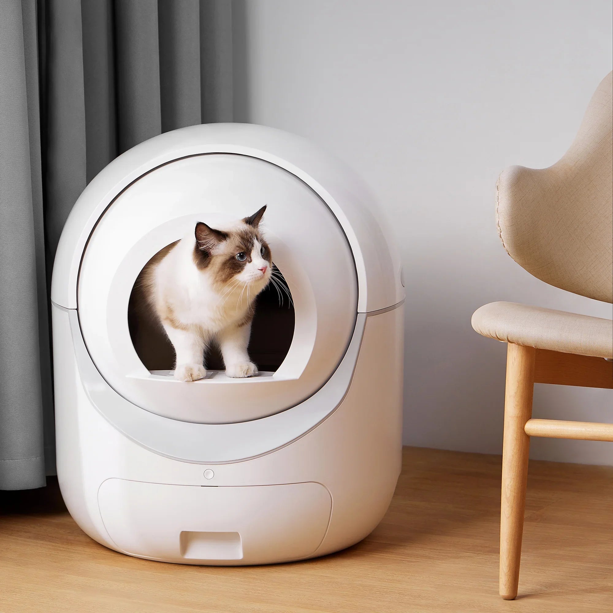 Smart Automatic Cat Litter Box, Self Cleaning Litter Box, App Control, Litter Robot Support 5G & 2.4G WiFi for Multiple Cats