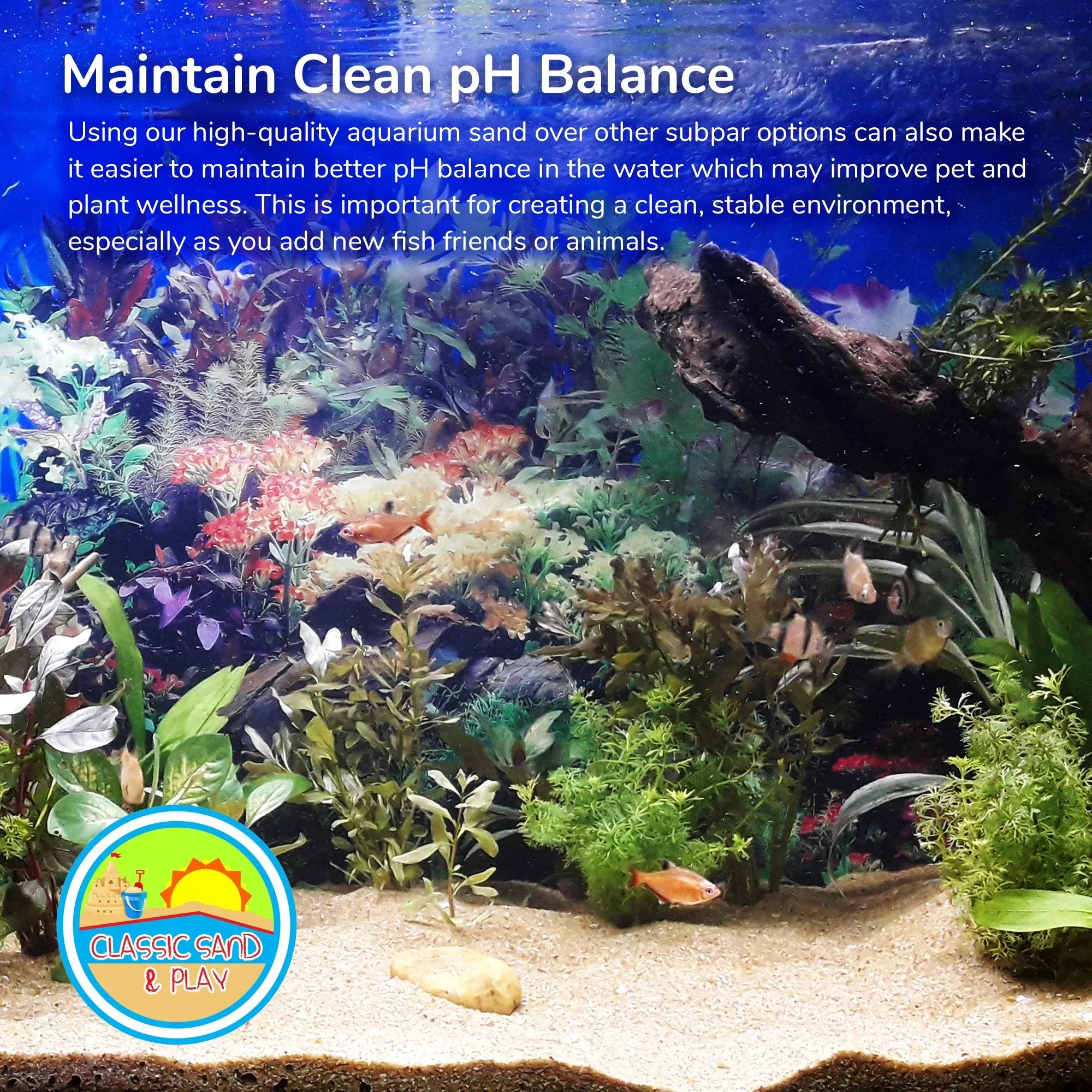CLASSIC SAND & PLAY Natural Aquarium Sand for Liquid and Fluid Tanks, 20 lb. Yellow