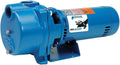 GOULDS Pumps GT15 IRRI-Gator Self-Priming Single Phase Centrifugal Pump, 1.5 , Blue