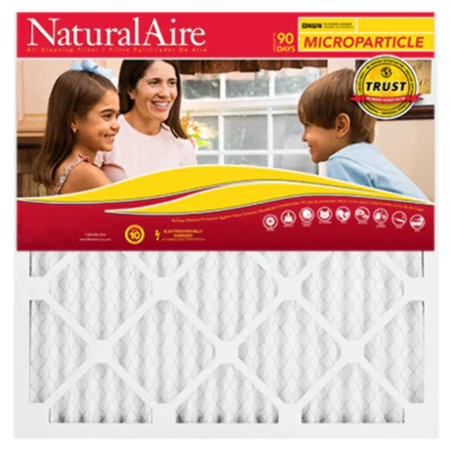 10x30x1 NaturalAire Microparticle MERV 10 Filters 85256.011030 (6 pack)